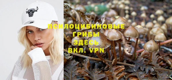 сатива Алексеевка