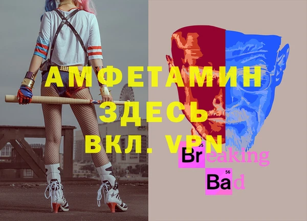 сатива Алексеевка