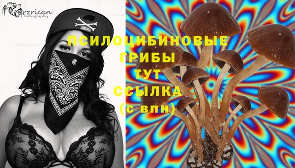 сатива Алексеевка